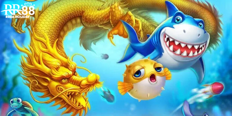 Bí kíp chơi bắn cá RR88 hiệu quả để nhận thưởng lớn