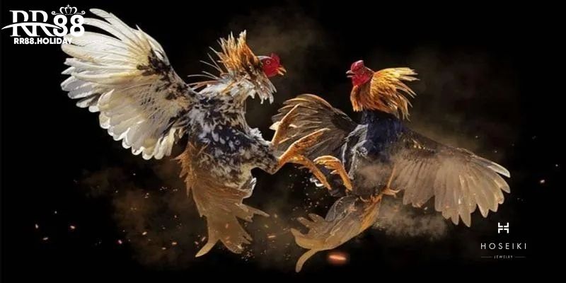 Giao diện hiện đại, bảo mật tuyệt đối