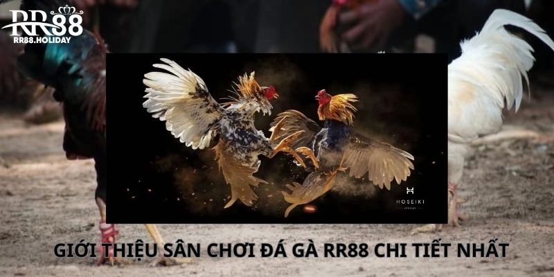 Giao diện mượt, bảo mật cao tại RR88