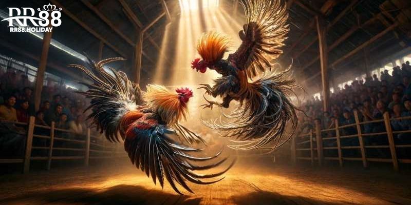 Ưu đãi cực khủng dành cho người chơi mới